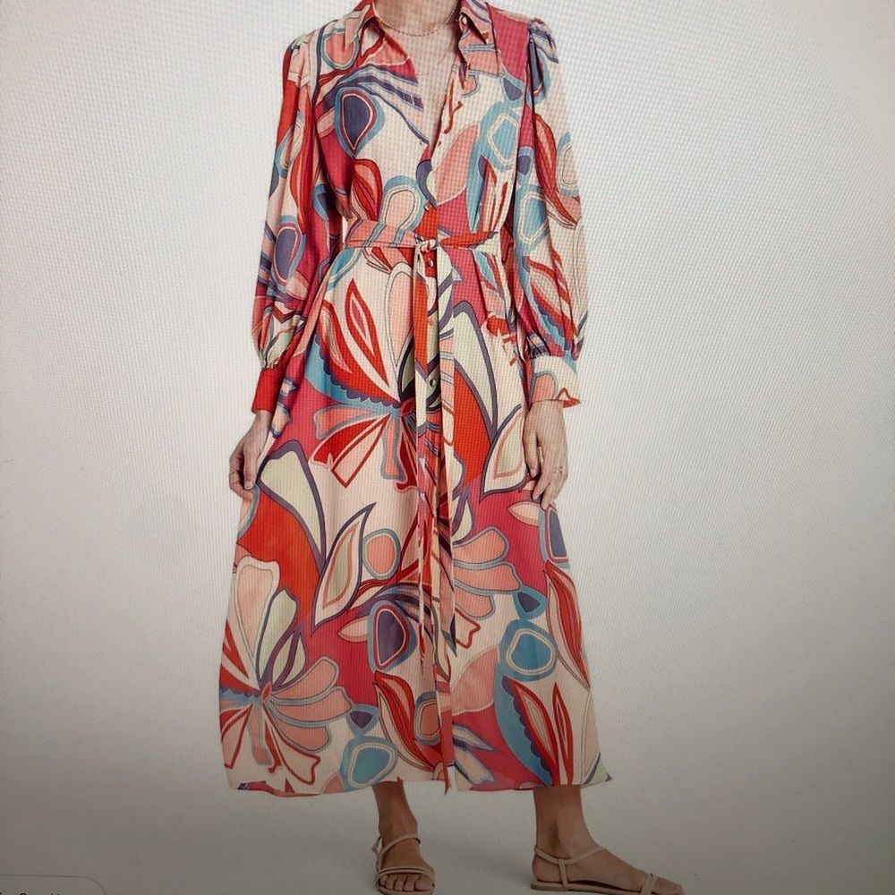 ALEXIS for Target Multi color Dress